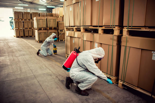 Best Wasp Removal Services  in Honeyville, UT