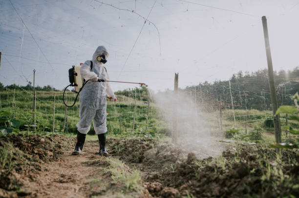 Best Local Pest Control Services  in Honeyville, UT