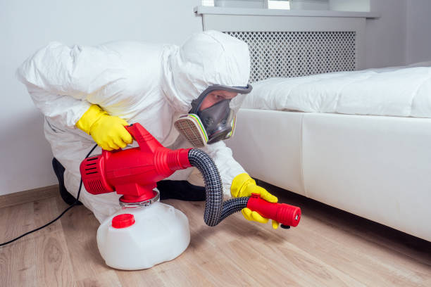 Best Pest Inspection Near Me  in Honeyville, UT