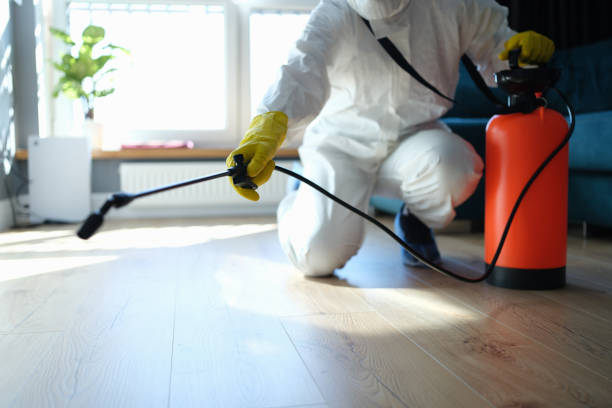 Best Pest Removal Services  in Honeyville, UT